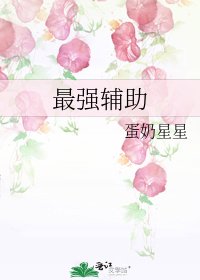 最強輔助